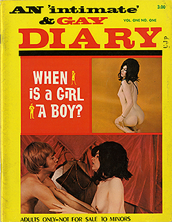 An Intimate and Gay Diary - V1N1