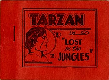 Tarzan in Lost In The Jungles